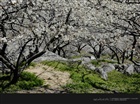 dailyPhoto1